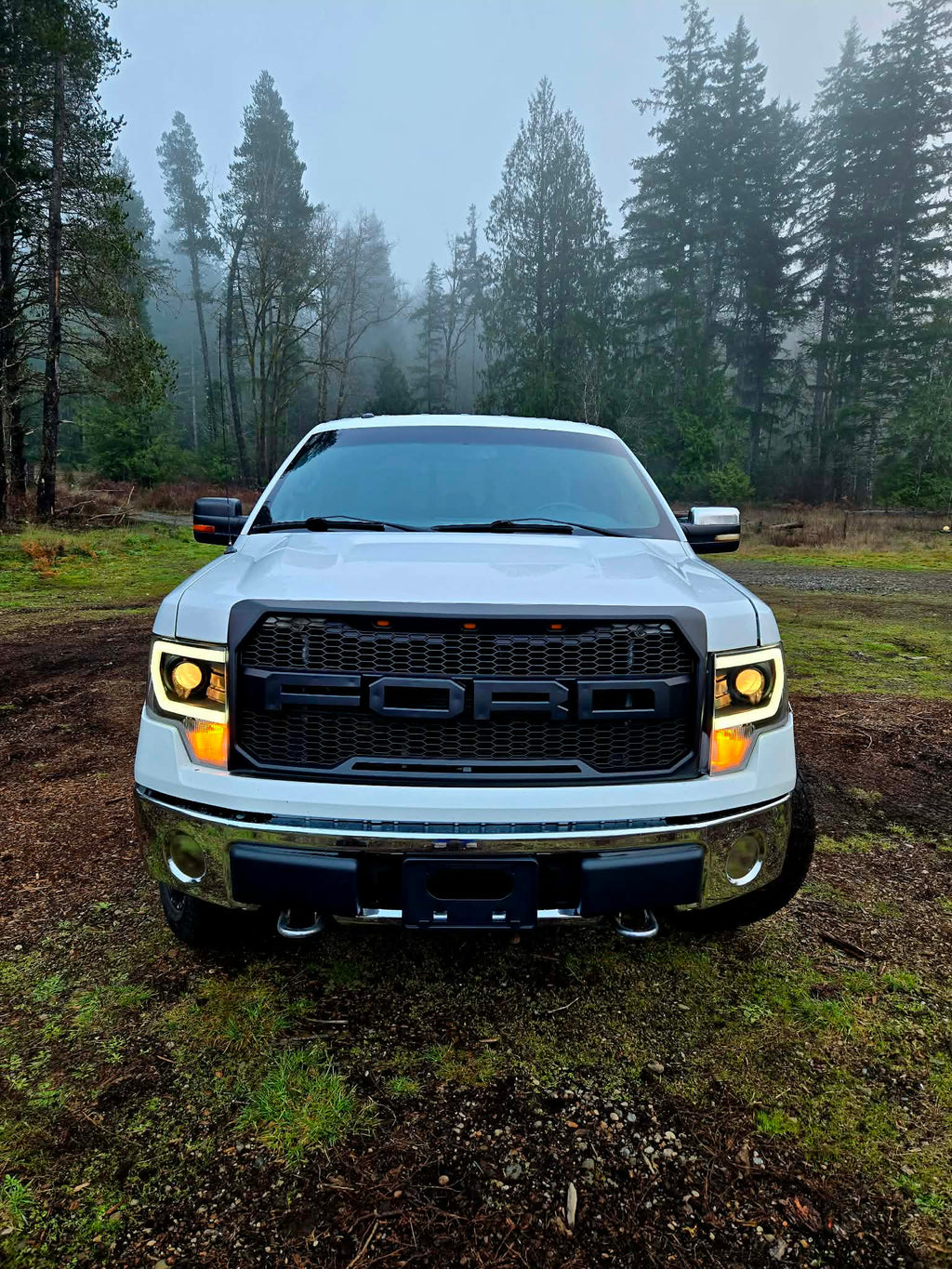 THE PRO GUARD (Protection) Our most popular package. Protects against PNW rain grime. Starting @ $299.99