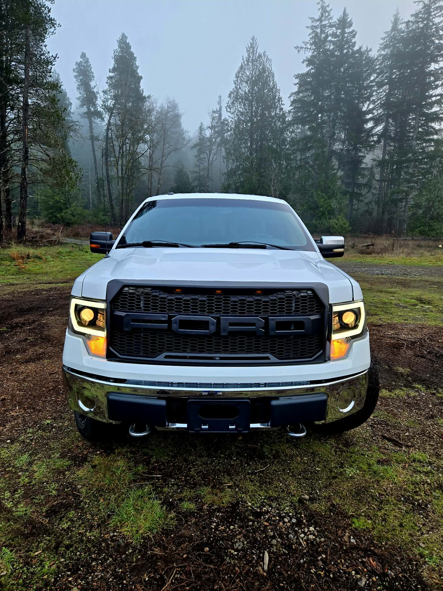 THE PRO GUARD (Protection) Our most popular package. Protects against PNW rain grime. Starting @ $299.99