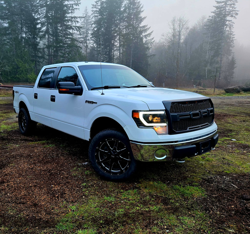 THE PRO GUARD (Protection) Our most popular package. Protects against PNW rain grime. Starting @ $299.99