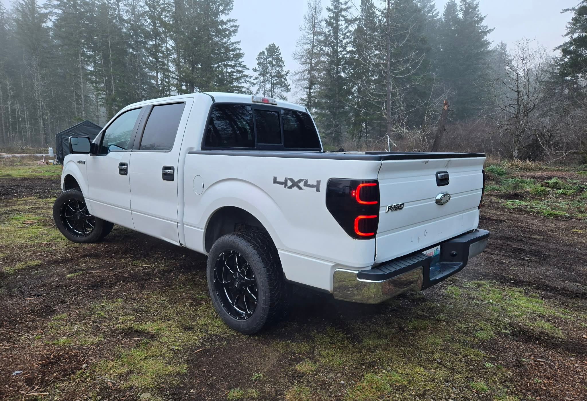 THE PRO GUARD (Protection) Our most popular package. Protects against PNW rain grime. Starting @ $299.99